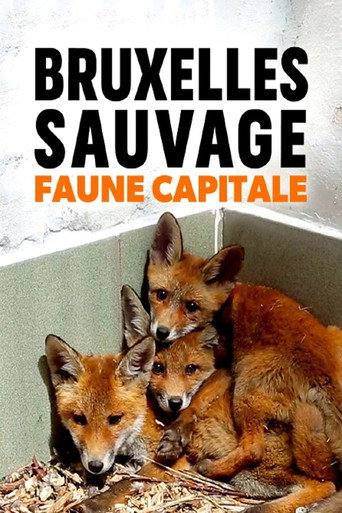 Movie poster for Brussels, the Wild Side (2015)