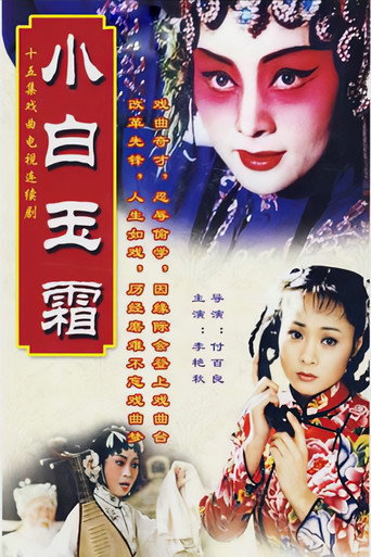 小白玉霜 poster