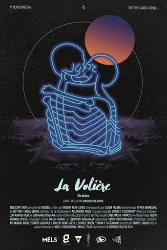 Movie poster for The Aviary (2017)