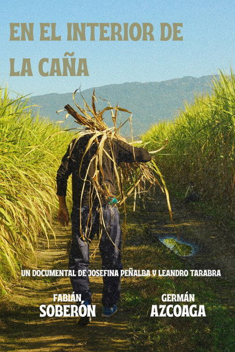 Movie poster for Lo que está en el interior de la caña (2026)
