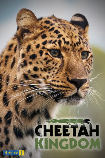 Cheetah Kingdom poster