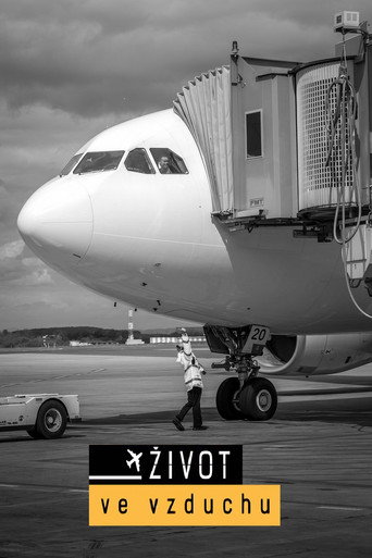 Život ve vzduchu poster