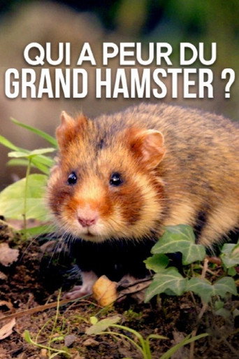 Movie poster for Qui a peur du grand hamster ? (2020)