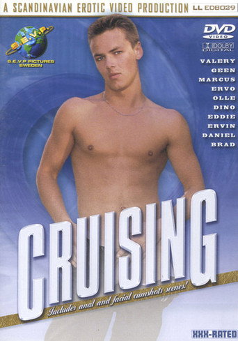 Movie poster for Cruising (2001)