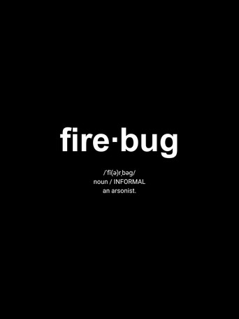 Movie poster for Firebug