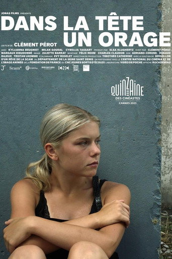 Movie poster for A Storm Inside (2023)