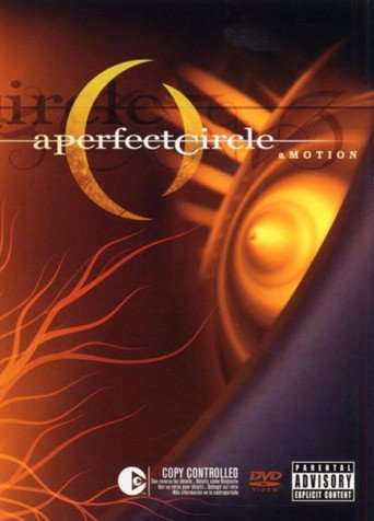 Movie poster for A Perfect Circle: aMOTION (2004)