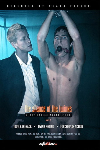 Movie poster for The Silence Of The Twinks: Part 2 (2011)