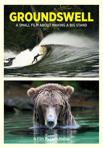 Movie poster for Groundswell (2012)