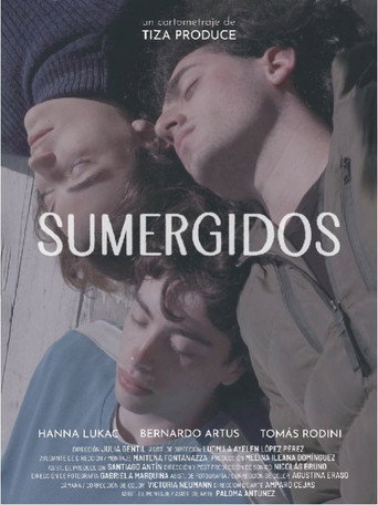 Movie poster for Immersed (2024)