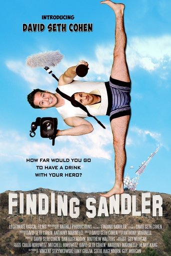 Finding Sandler poster