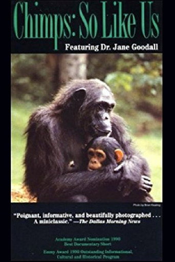 Movie poster for Chimps: So Like Us (1990)