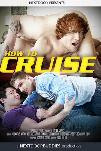 Movie poster for How to Cruise (2017)