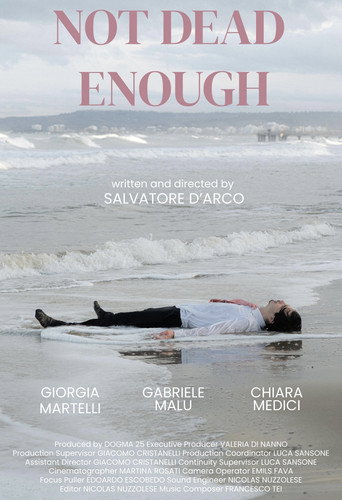 Movie poster for Not dead enough (2025)