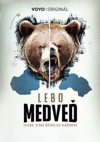 Lebo medveď poster