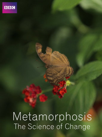 Movie poster for Metamorphosis: The Science of Change (2013)