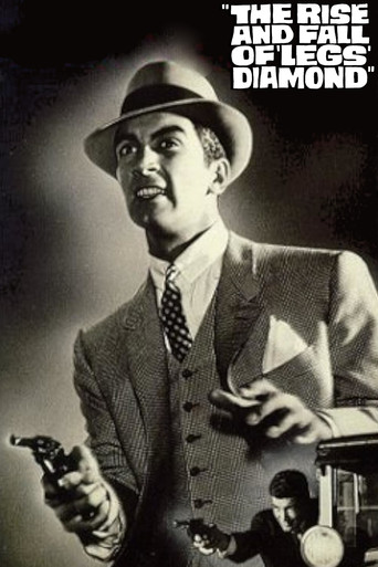 The Rise and Fall of Legs Diamond poster