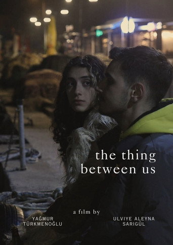 Movie poster for The Thing Between Us