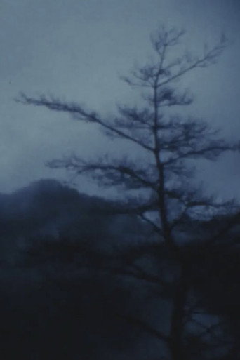 Movie poster for MAYA (2001)