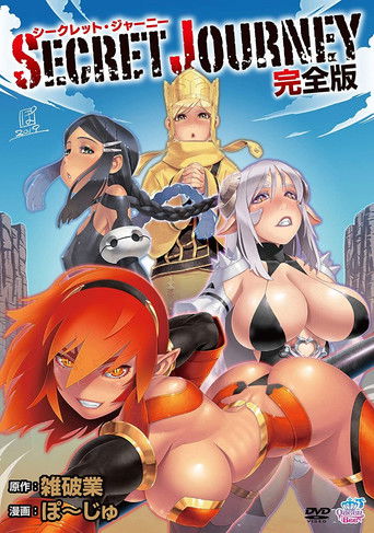 Secret Journey poster