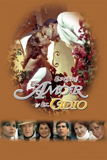 Series poster for No Limite da Paixão (2002)