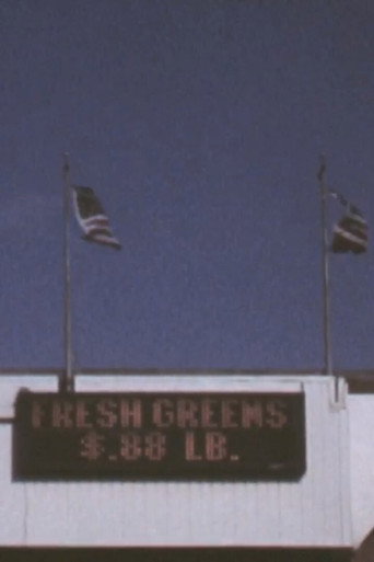 Movie poster for 3 Flags (2010)