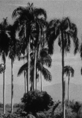 Movie poster for Haiti (1938)