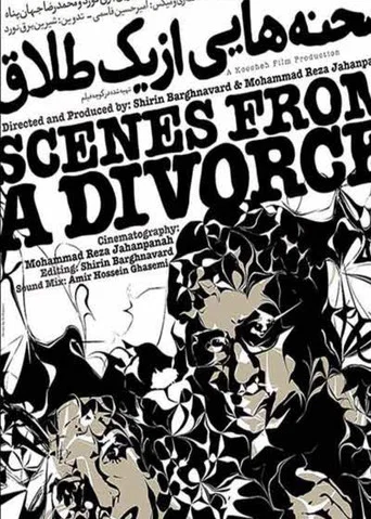 Movie poster for Scenes From a Divorce
