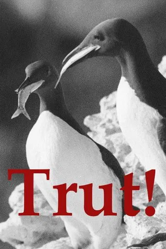 Movie poster for The Gulls (1944)
