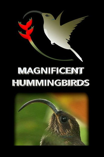 Movie poster for Magnificent Hummingbirds (2021)
