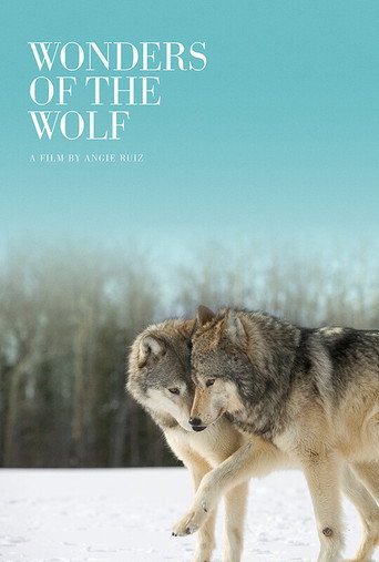 Movie poster for Wonders of the Wolf (2024)