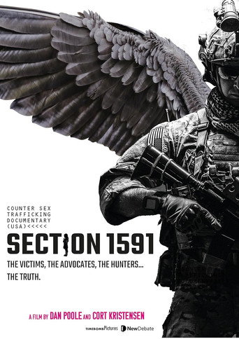 Section 1591 poster