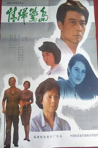 Coming Back to Xiamen poster