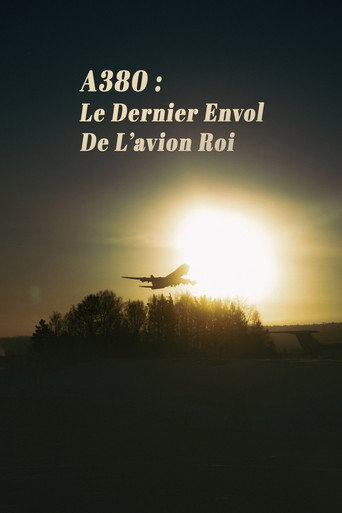 Movie poster for A380 : Le Dernier Envol de lavion roi (2021)