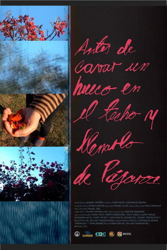 Movie poster for Before cutting a hole in the sky and filling it with birds (2023)