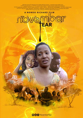 Movie poster for November Tear