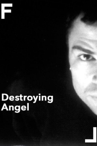 Movie poster for Destroying Angel (1998)