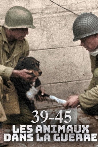 Movie poster for Animals at War, Wild Heroes of World War II (2019)