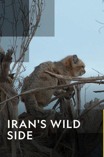 Movie poster for Iran's Wild Side (2019)