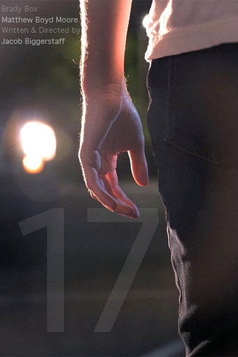 Movie poster for 17 (2022)