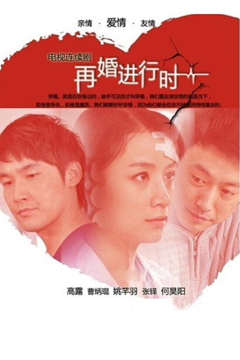 再婚进行时 poster