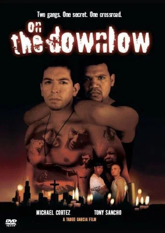 Movie poster for On The Downlow (2004)