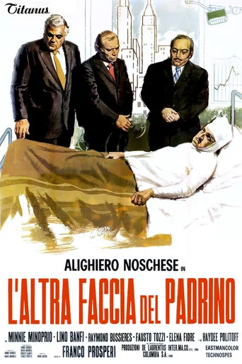 Movie poster for The Funny Face of the Godfather (1973)
