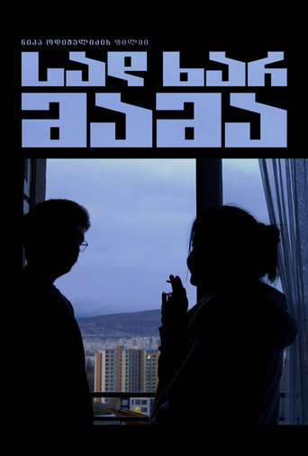 Movie poster for Where are you father (2024)