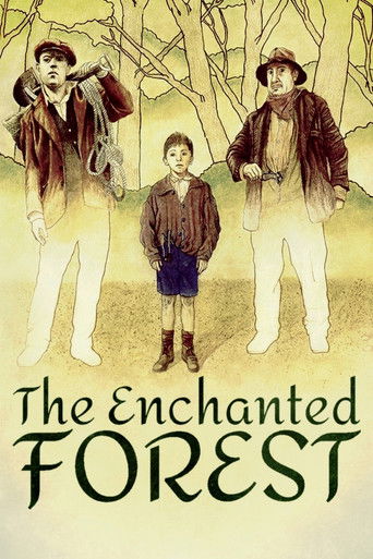 The Enchanted Forest poster