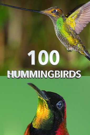 Movie poster for 100 Hummingbirds (2021)