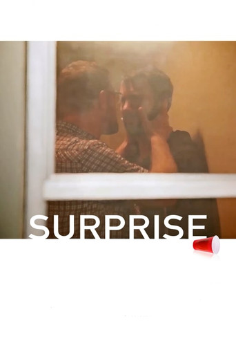 Movie poster for Surprise (2016)
