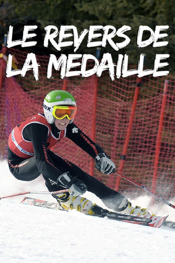 Movie poster for Le revers de la médaille (2014)