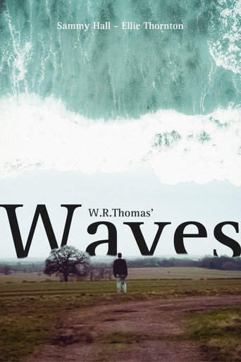 Movie poster for Waves (2024)