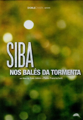 Movie poster for Siba – nos balés da tormenta (2012)